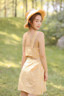 乱鬼龙种子